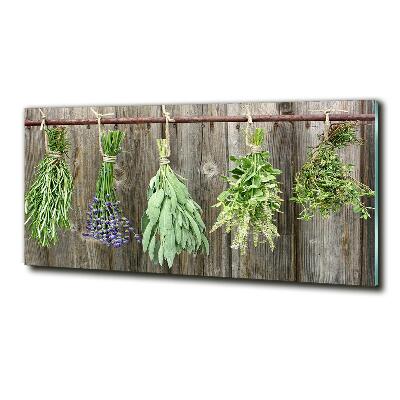 Glass wall art Herbs on a string