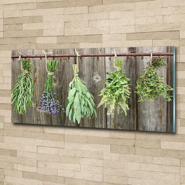 Glass wall art Herbs on a string