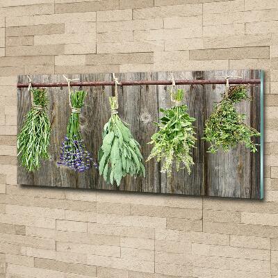 Glass wall art Herbs on a string