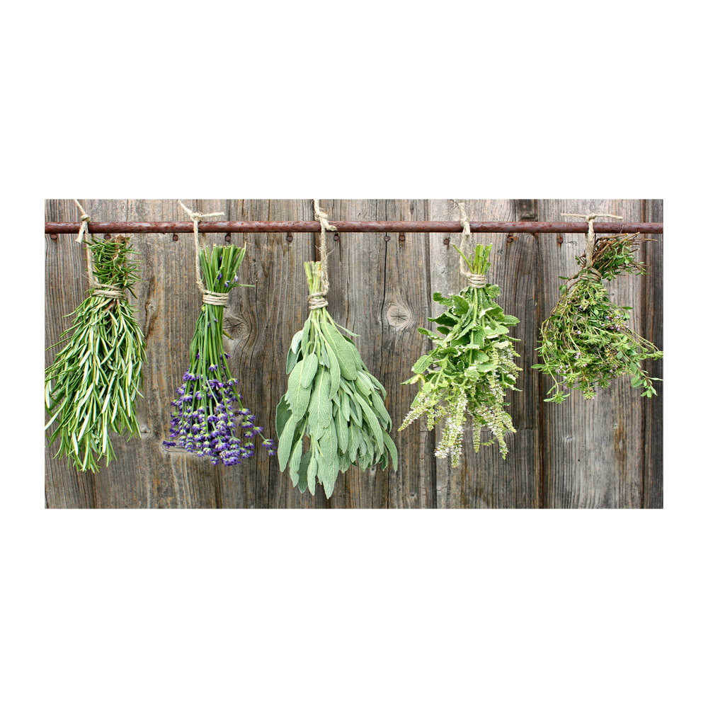 Glass wall art Herbs on a string