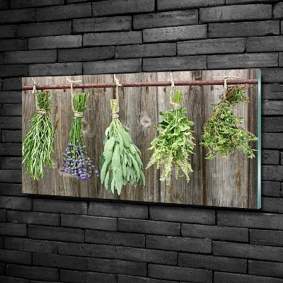 Glass wall art Herbs on a string