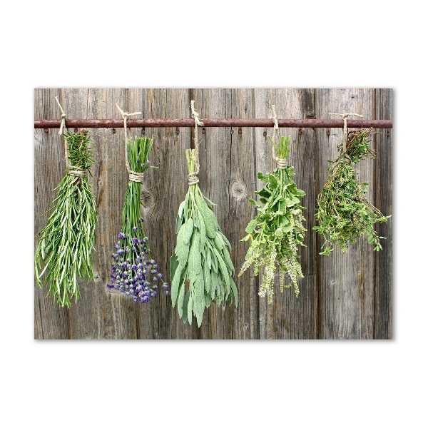 Glass wall art Herbs on a string