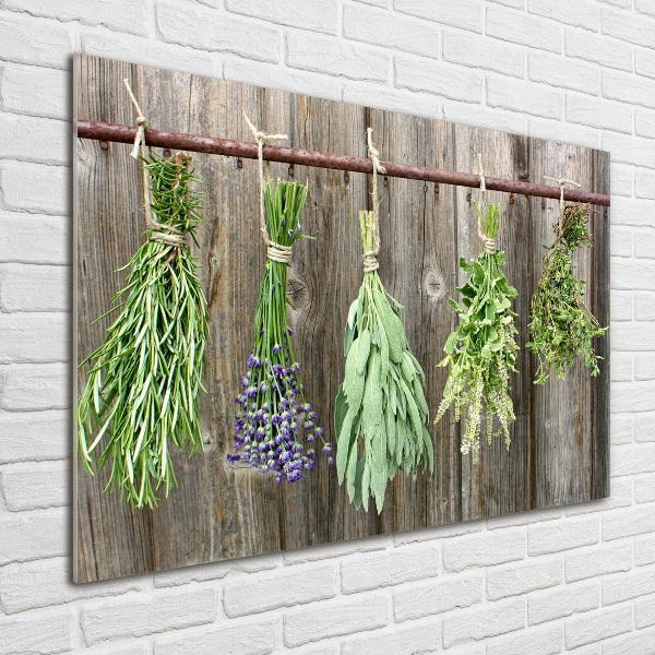 Glass wall art Herbs on a string