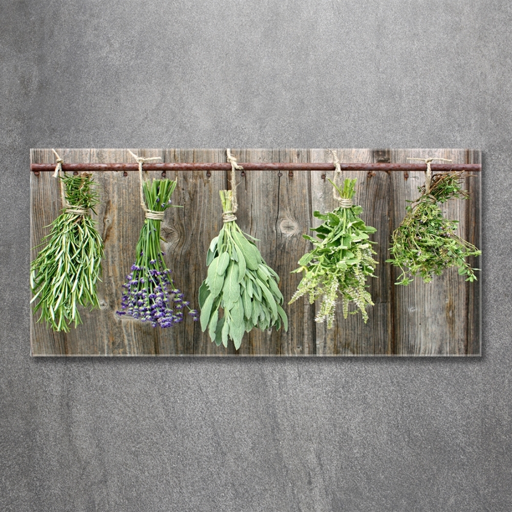 Glass wall art Herbs on a string