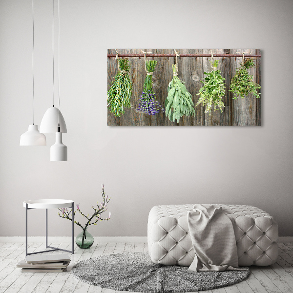 Glass wall art Herbs on a string