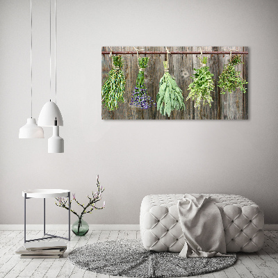 Glass wall art Herbs on a string