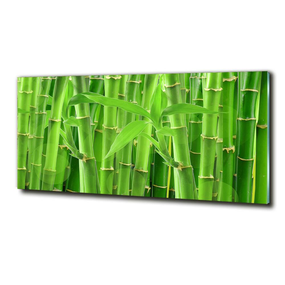 Glass art print Bamboo