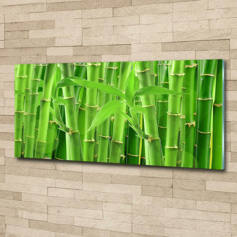 Glass art print Bamboo