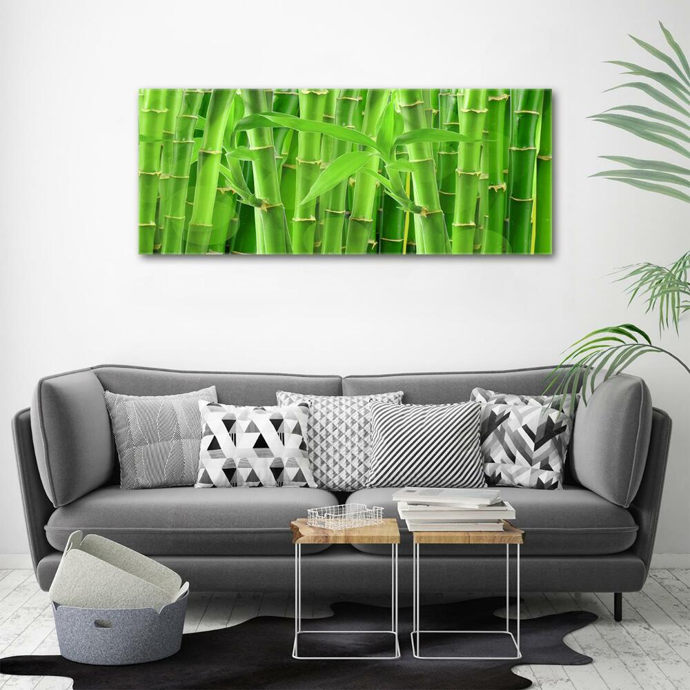 Glass art print Bamboo