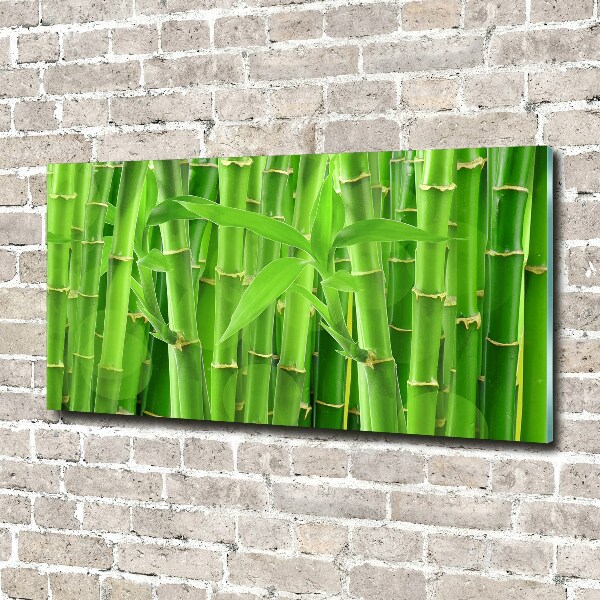 Glass art print Bamboo