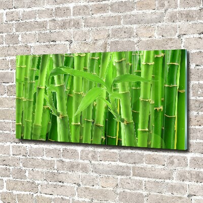 Glass art print Bamboo