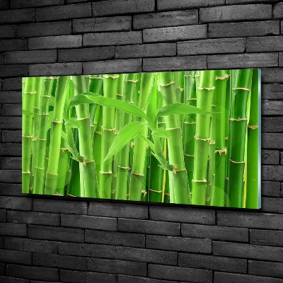 Glass art print Bamboo