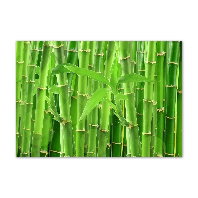 Glass art print Bamboo