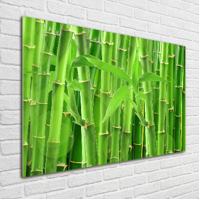 Glass art print Bamboo