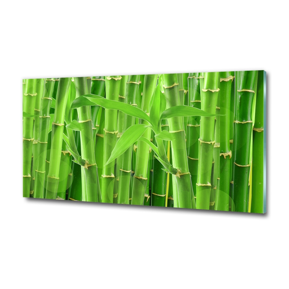 Glass art print Bamboo