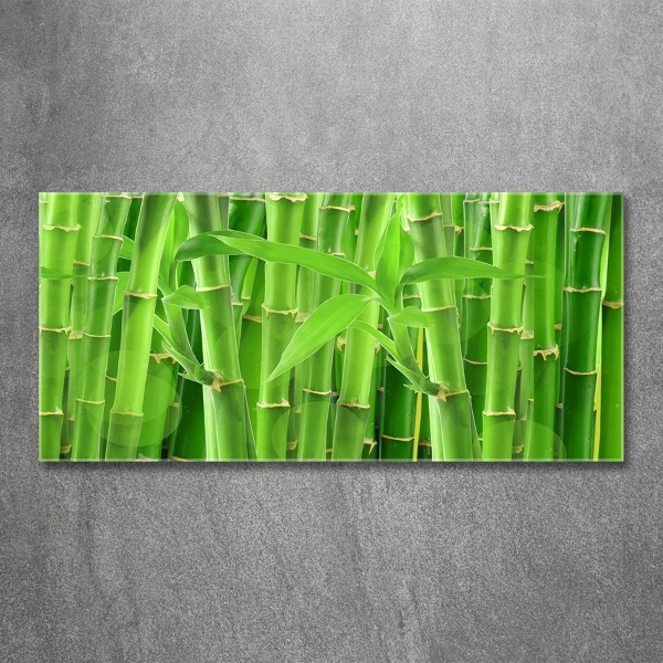 Glass art print Bamboo