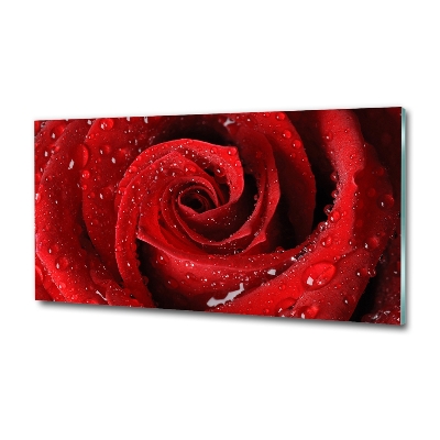 Glass art picture Rose drops