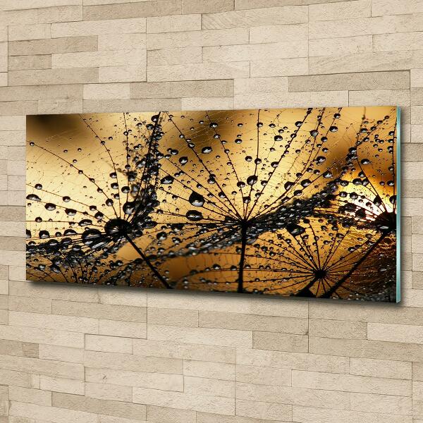 Glass art picture Dandelion seeds