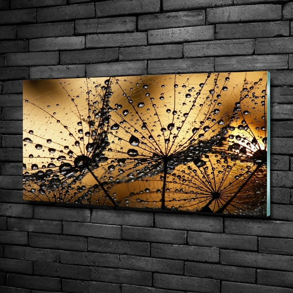 Glass art picture Dandelion seeds