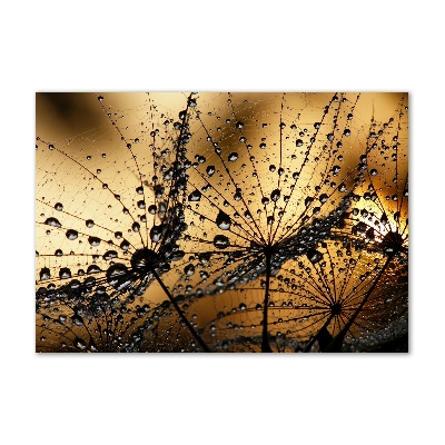 Glass art picture Dandelion seeds