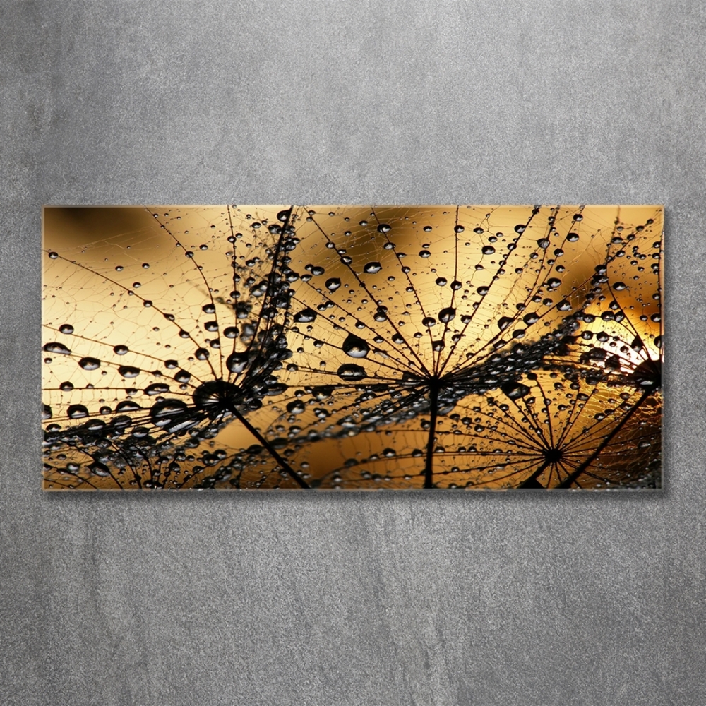 Glass art picture Dandelion seeds