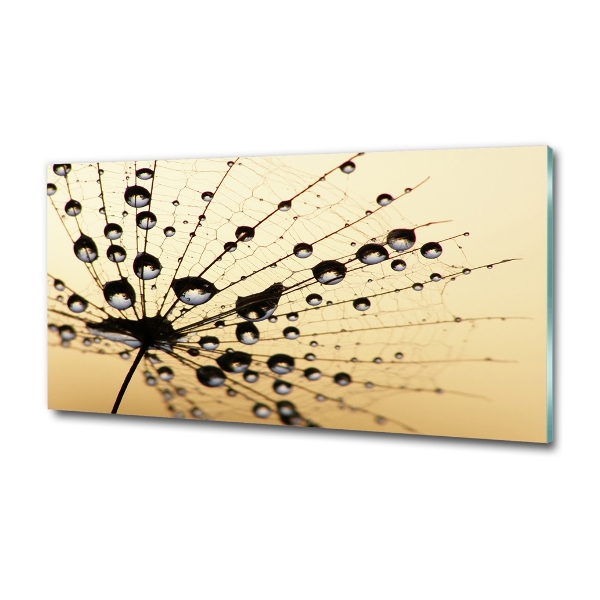 Glass art picture Dandelion seed