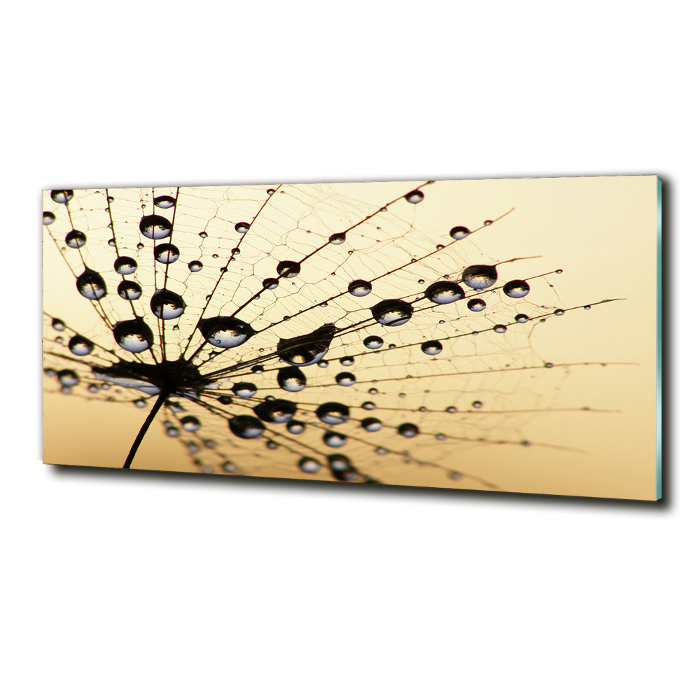 Glass art picture Dandelion seed