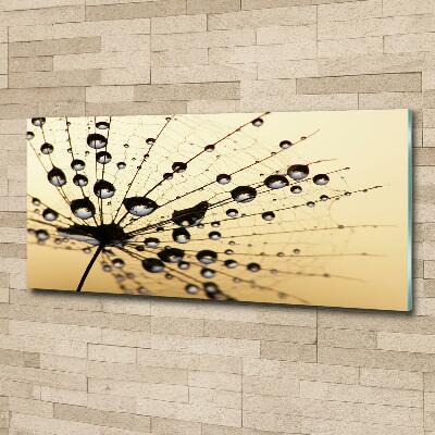 Glass art picture Dandelion seed