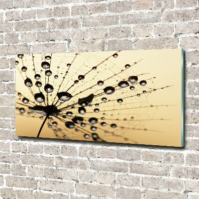 Glass art picture Dandelion seed