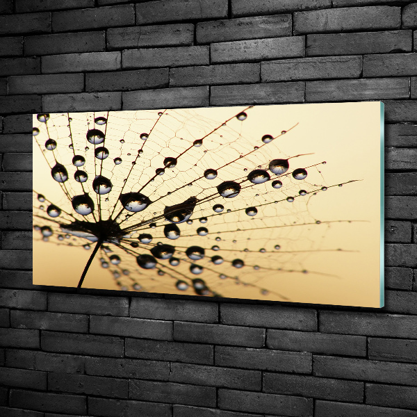 Glass art picture Dandelion seed