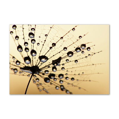 Glass art picture Dandelion seed