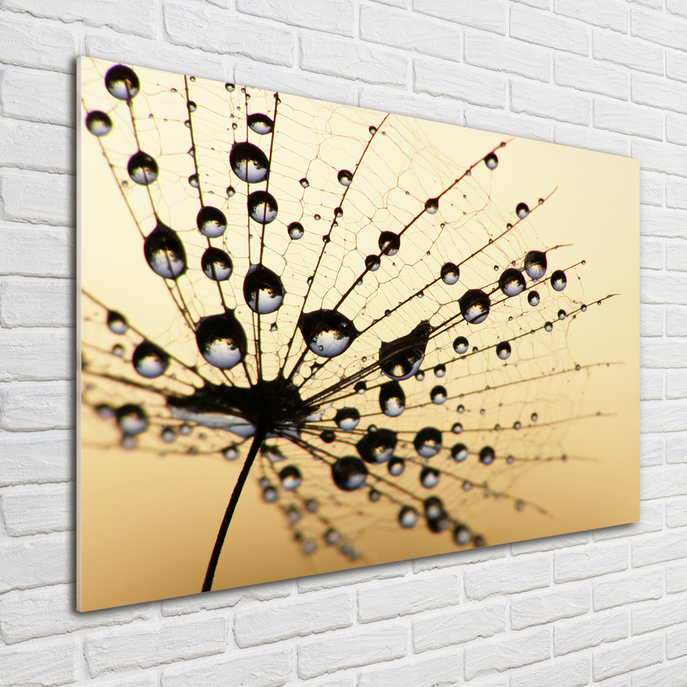 Glass art picture Dandelion seed