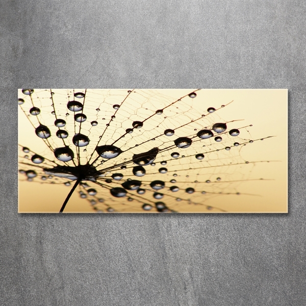 Glass art picture Dandelion seed