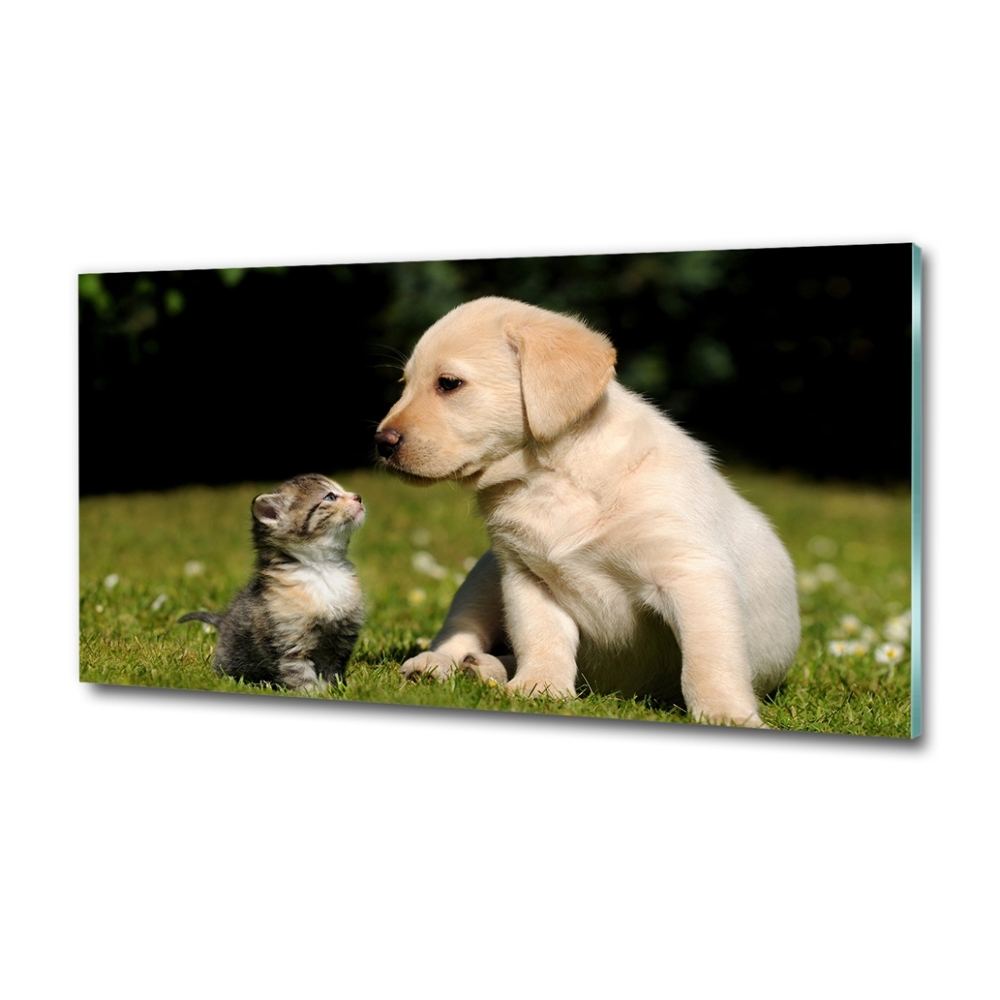 Glass art picture A dog and a cat in the meadow