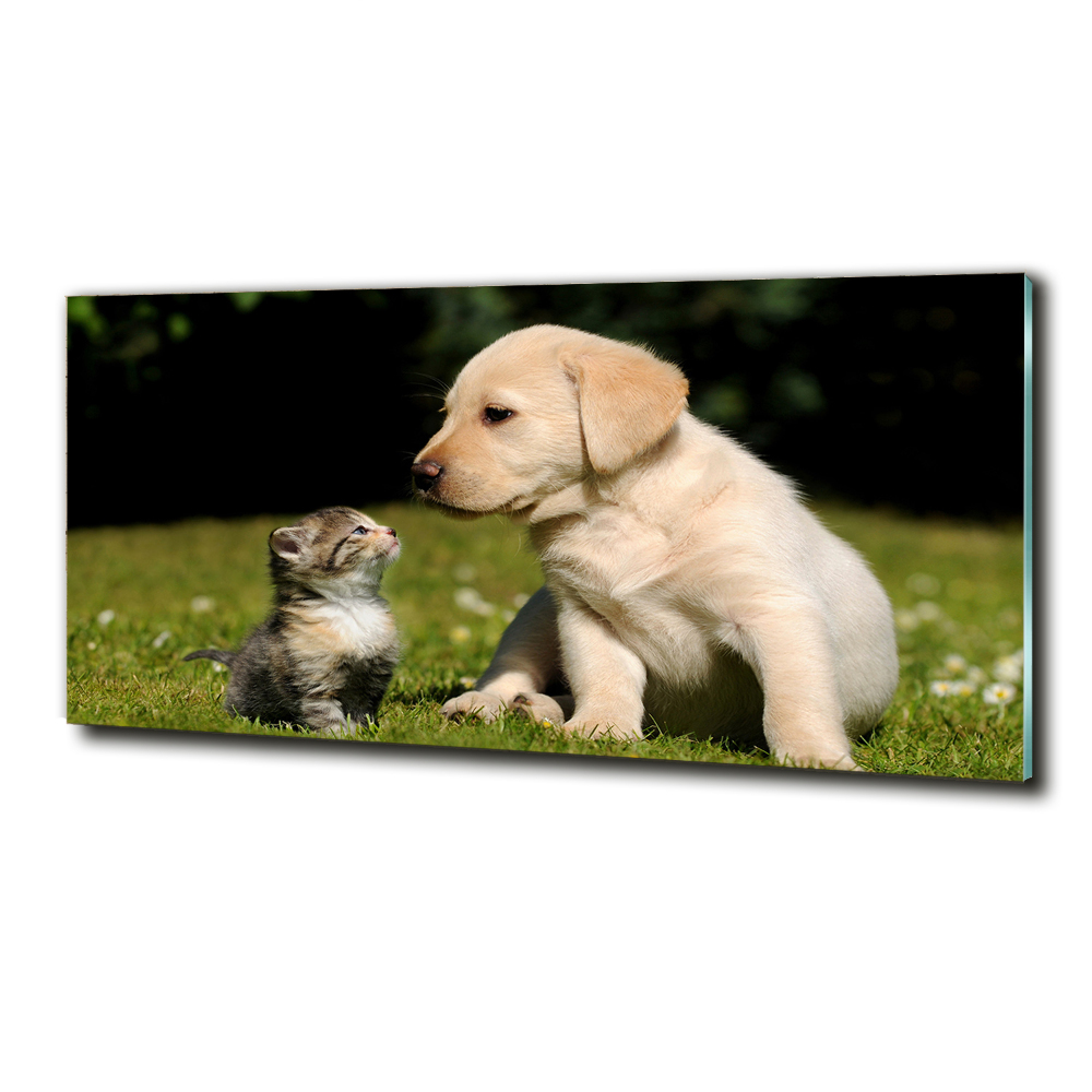 Glass art picture A dog and a cat in the meadow