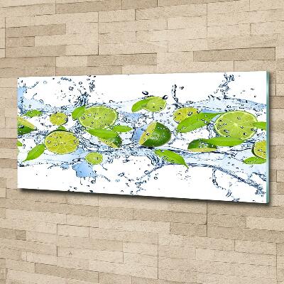 Wall art on glass Lime and water