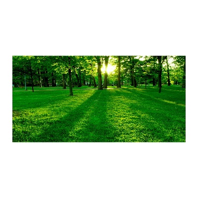 Photo printed on glass Grass in the park