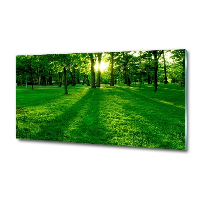 Photo printed on glass Grass in the park