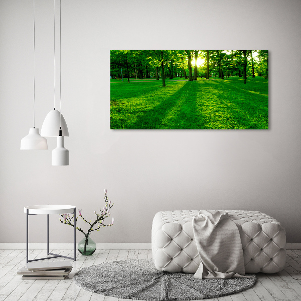 Photo printed on glass Grass in the park