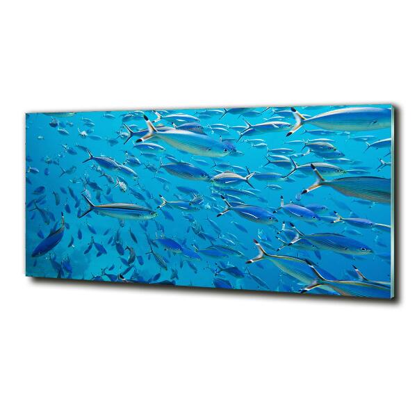 Glass art print Coral fish