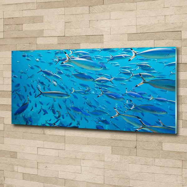 Glass art print Coral fish