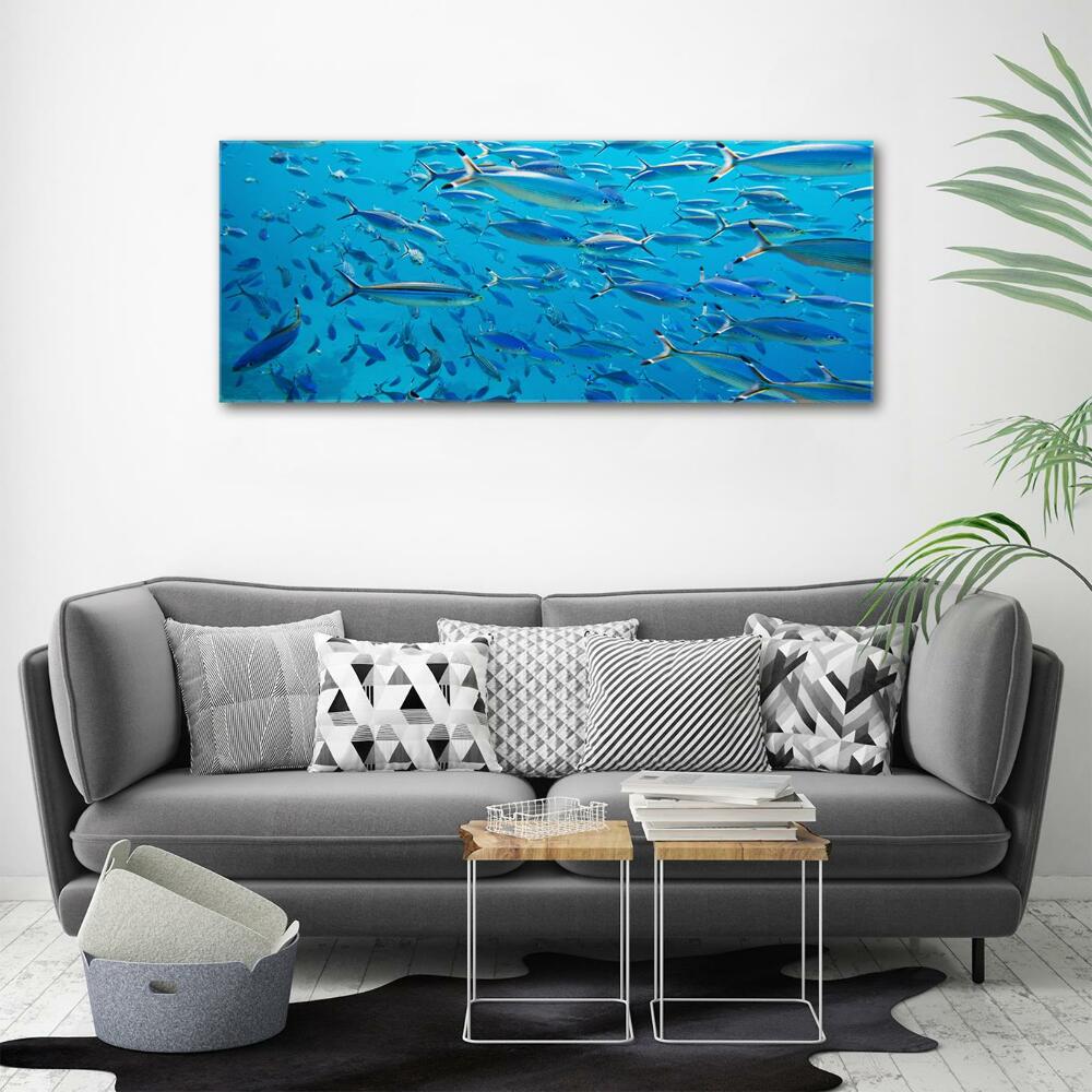 Glass art print Coral fish