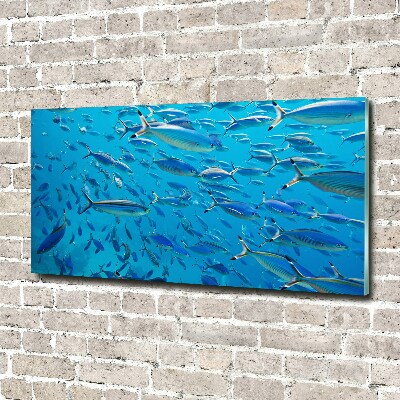 Glass art print Coral fish