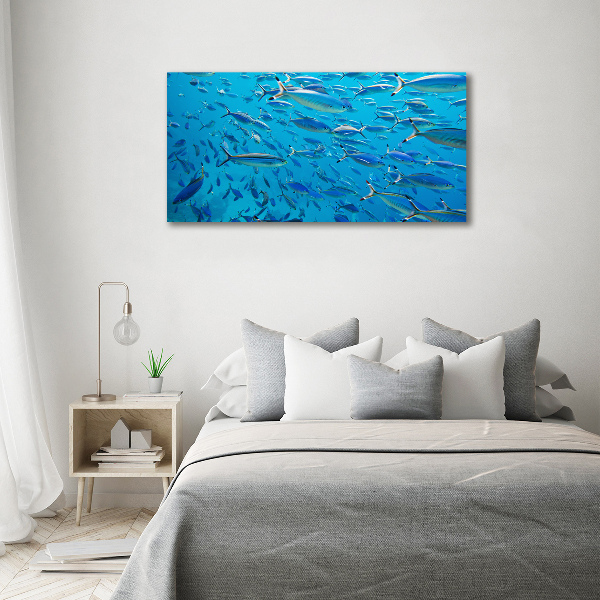 Glass art print Coral fish