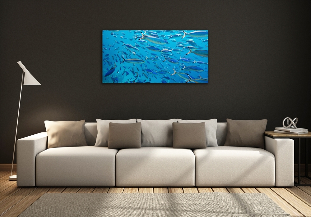 Glass art print Coral fish