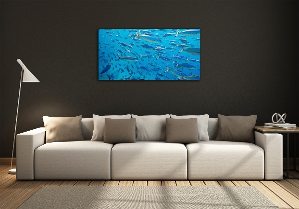 Glass art print Coral fish