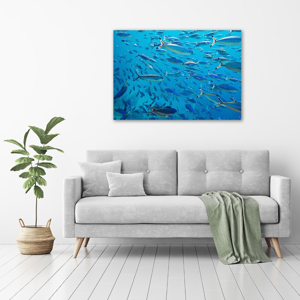 Glass art print Coral fish