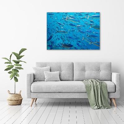 Glass art print Coral fish