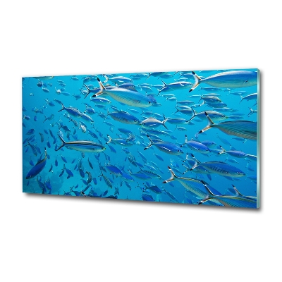 Glass art print Coral fish