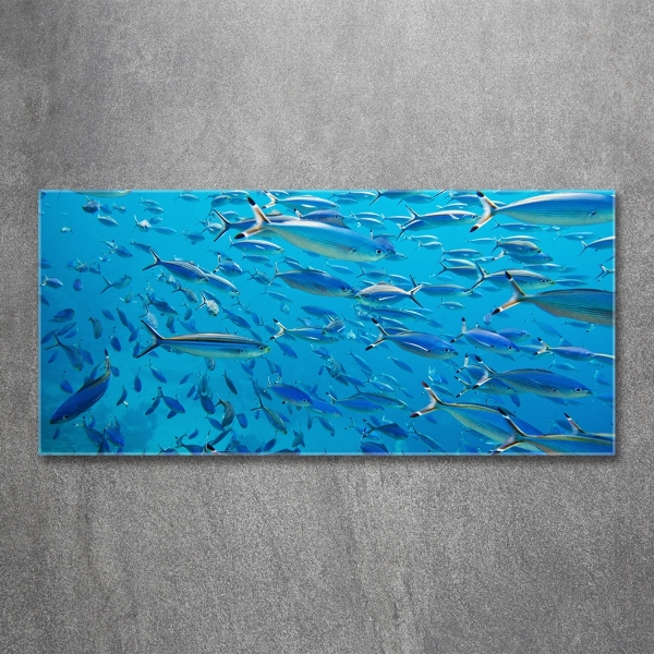 Glass art print Coral fish